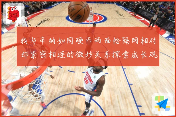 我与辛纳如同硬币两面恰隔网相对却紧密相连的微妙关系探索成长观察-深度解析