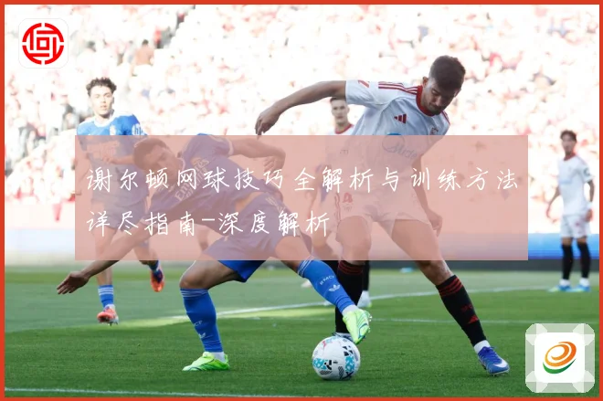 谢尔顿网球技巧全解析与训练方法详尽指南-深度解析