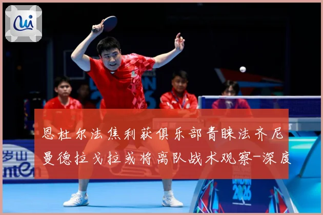 恩杜尔法焦利获俱乐部青睐法齐尼曼德拉戈拉或将离队战术观察-深度解析