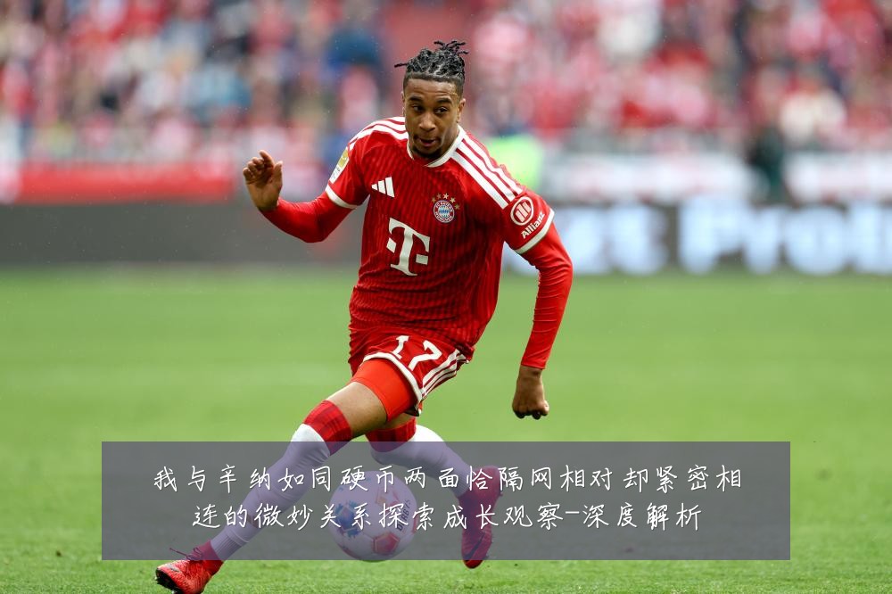 我与辛纳如同硬币两面恰隔网相对却紧密相连的微妙关系探索成长观察-深度解析
